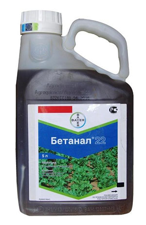 гербицид Бетанал 22 от компании Bayer